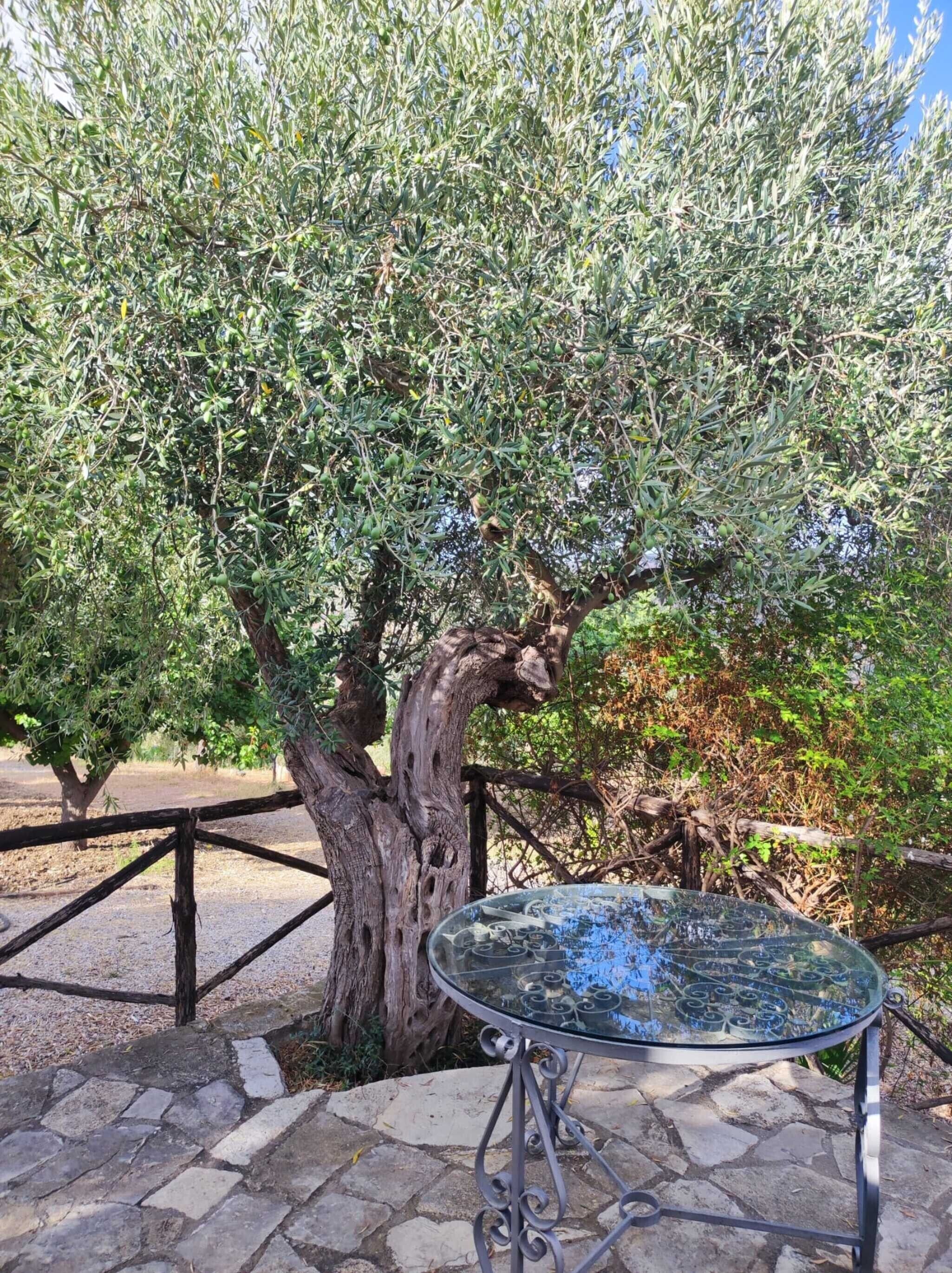 Parco della struttura