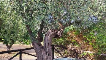 Parco della struttura