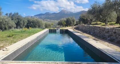 Villa Degli Ulivi with Sea View and Wi-Fi, Pet-Friendly