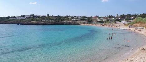 بالقرب من الشاطئ