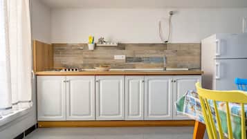 Fridge, oven, stovetop, cookware/dishes/utensils