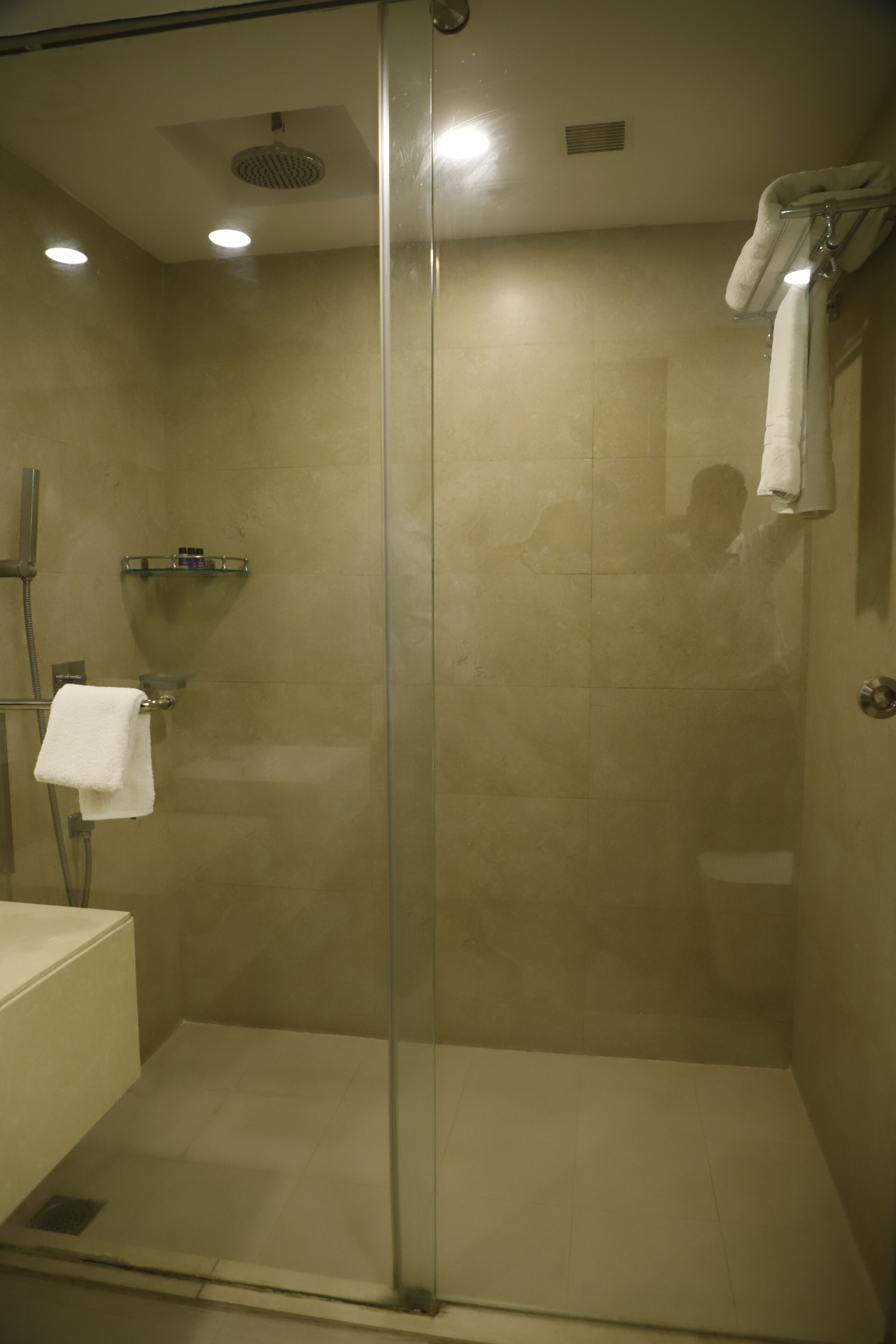 Photo - Via Chattarpur Enclave - Opposite Tivoli Garden