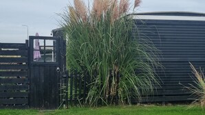 Een gazon met een zwart metalen hek en een gebouw op de achtergrond.