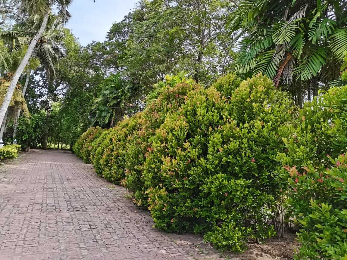 Terrain de l’hébergement 