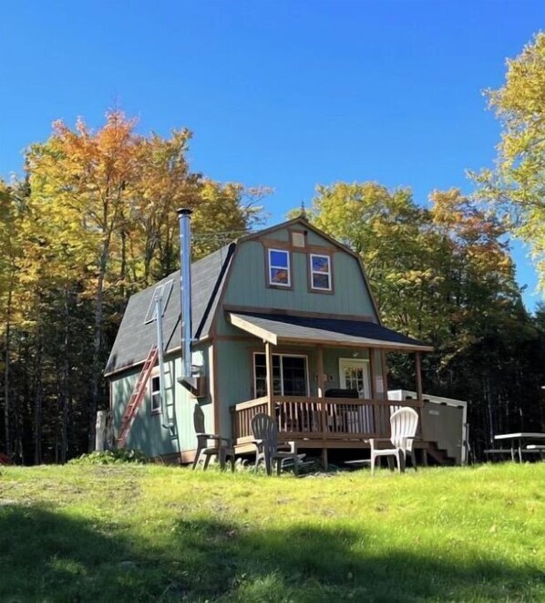 Relax on the front porch, surrounded by lush trees.