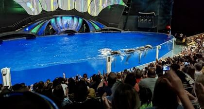 Gorgeous 2 bedrooms and 2 1/2 bathrooms townhouse in North Decatur