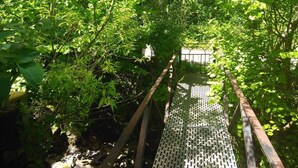 Een metalen brug met een metalen gaas oppervlak, omringd door weelderige groene begroeiing.