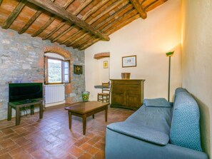 تلفزيون، مدفأة