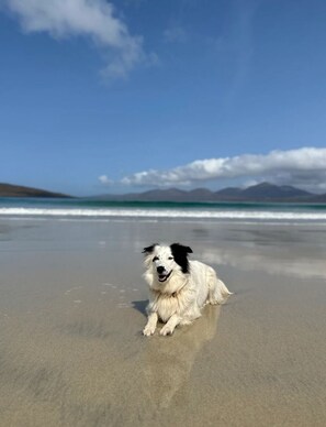 Playa