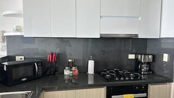 Appartement Supérieur | Cuisine privée | Grand réfrigérateur, micro-ondes, four, plaque de cuisson