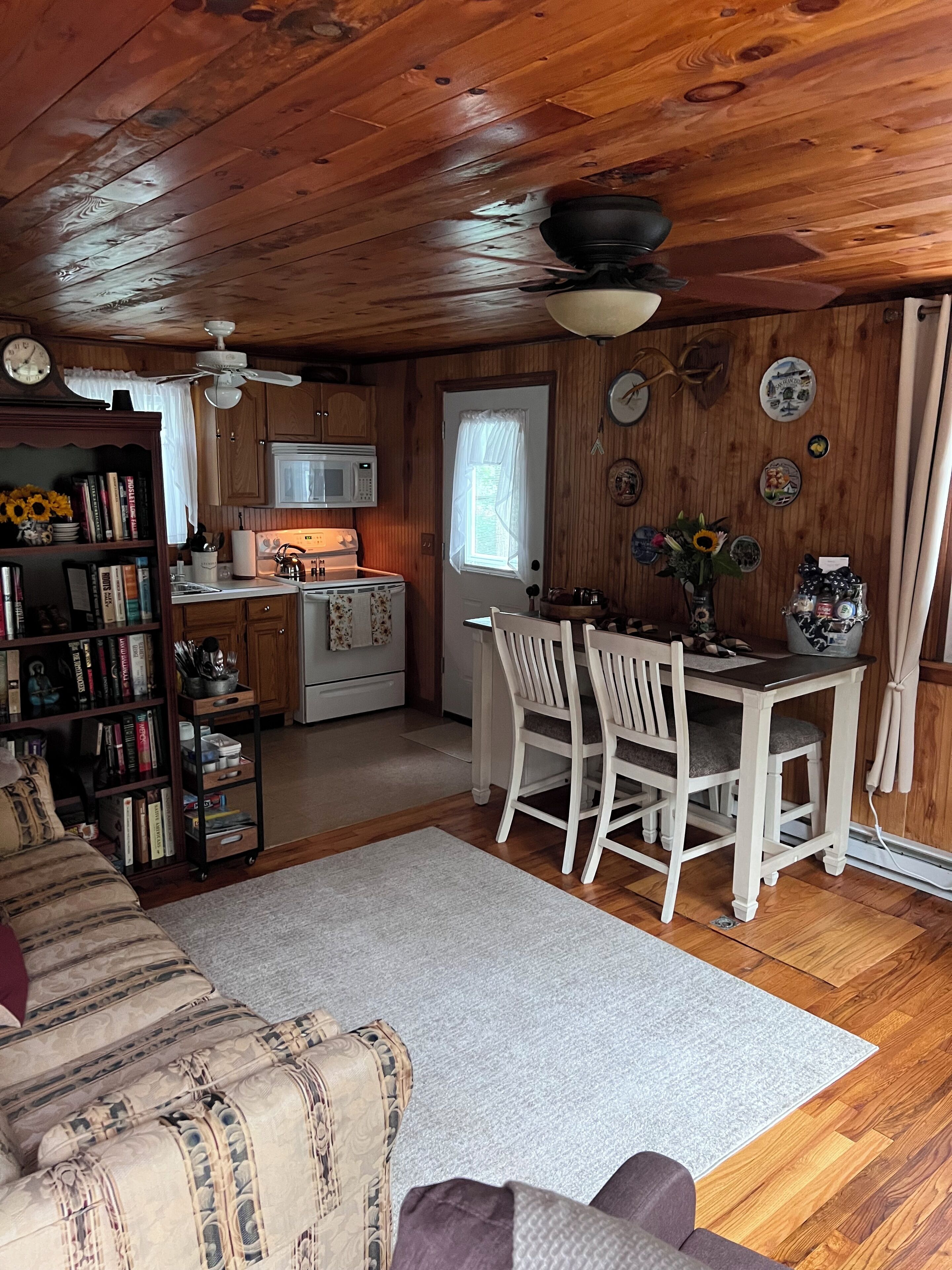 Smart TV, fireplace, books