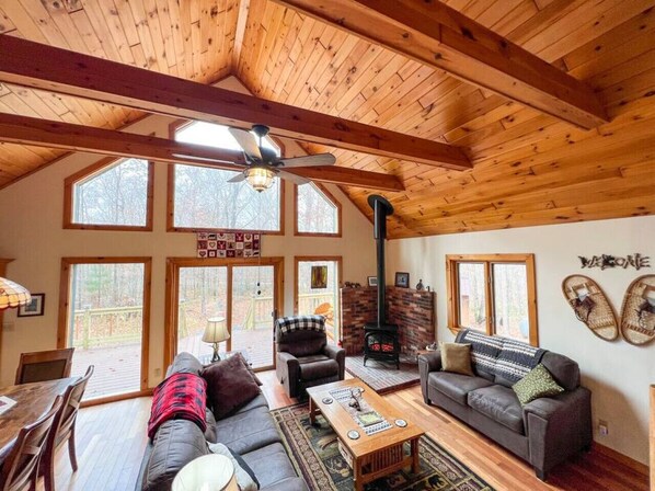 Televisión y chimenea 