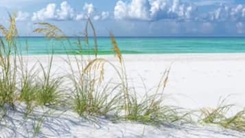Plage, chaises longues, serviettes de plage