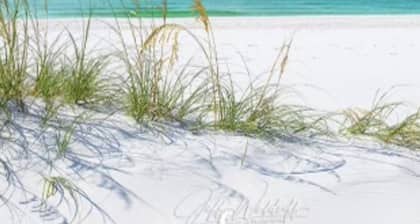 Country Beach House- W/ a new pet friendly pool. Only 5 min to Navarre Beach!!!