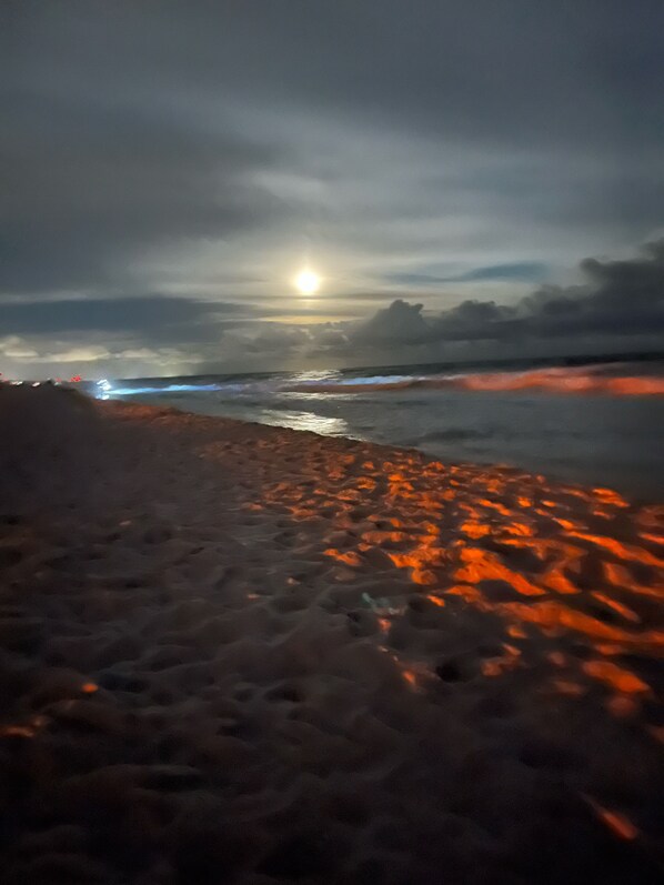 A beach with a sunset in the background.