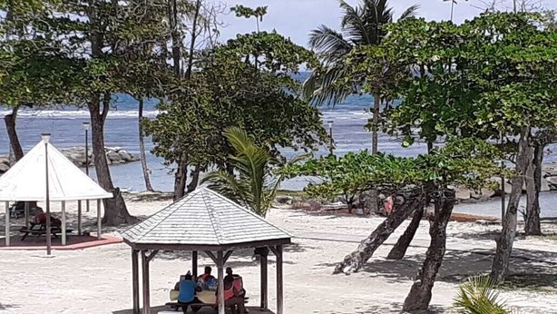 Une scène de plage avec un kiosque, des palmiers et une vue sur l’océan.