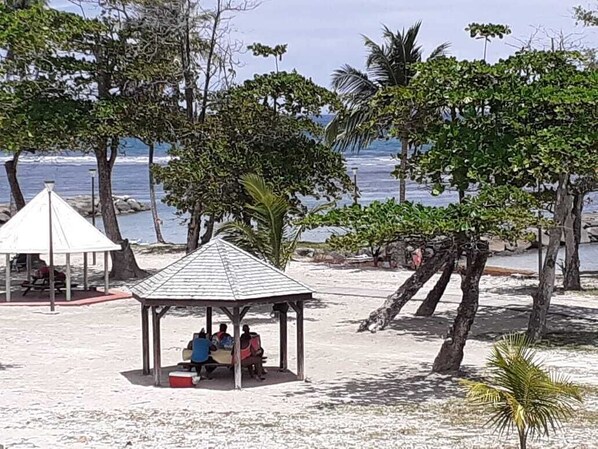 Cena de praia com um gazebo, palmeiras e vista do oceano.