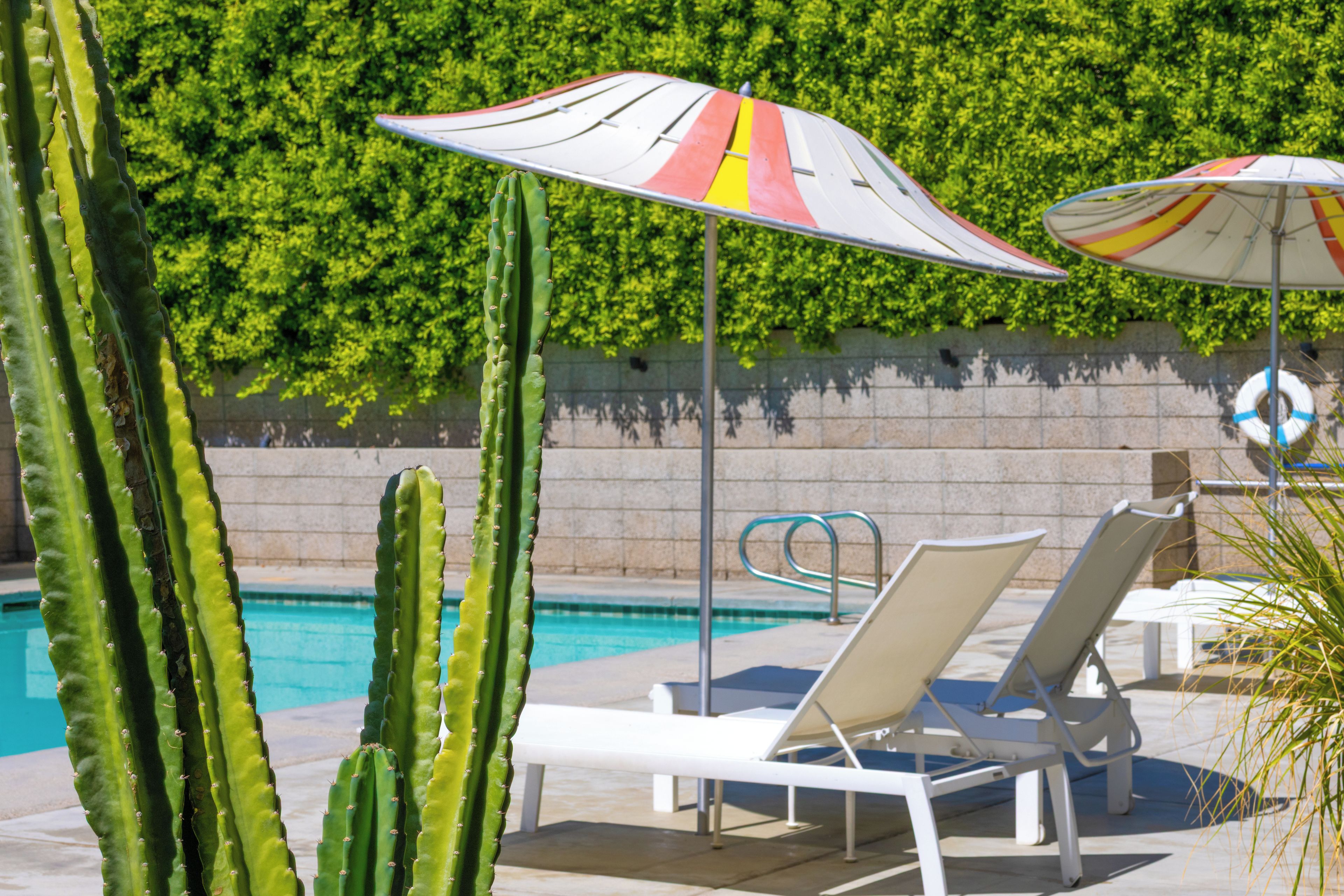 A poolside area with lounge chairs and umbrellas, a cactus, and a lifebuoy on a wall.