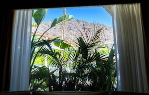 Una ventana con cortinas, vista a una montaña y diversas plantas tropicales.
