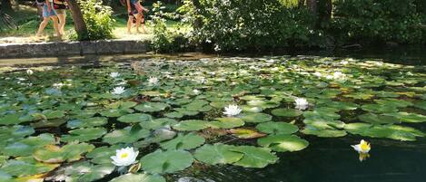 المنطقة المحيطة بالمنشأة