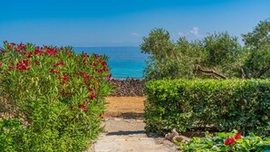 Un sentier qui mène à une plage bordée de fleurs rouges et d’arbustes verts.