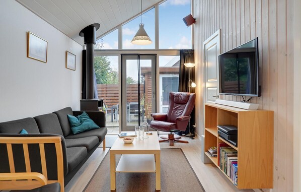 Fernseher, Kamin, DVD-Player