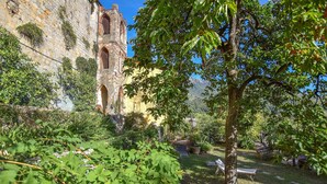 Un antiguo edificio de piedra con ventanas arqueadas y un árbol en primer plano.
