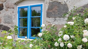A stone building with a blue-framed window and white roses in front. - 2 bedroom cozy home in Munka Ljungby (Munka Ljungby)