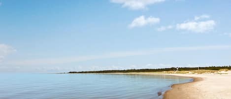 Playa en los alrededores