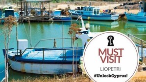 A marina with several boats docked, surrounded by greenery and trees. - Liopetri 2-Bed Apt, Sleeps 6, Pool, 10min to Beach (Liopetri)