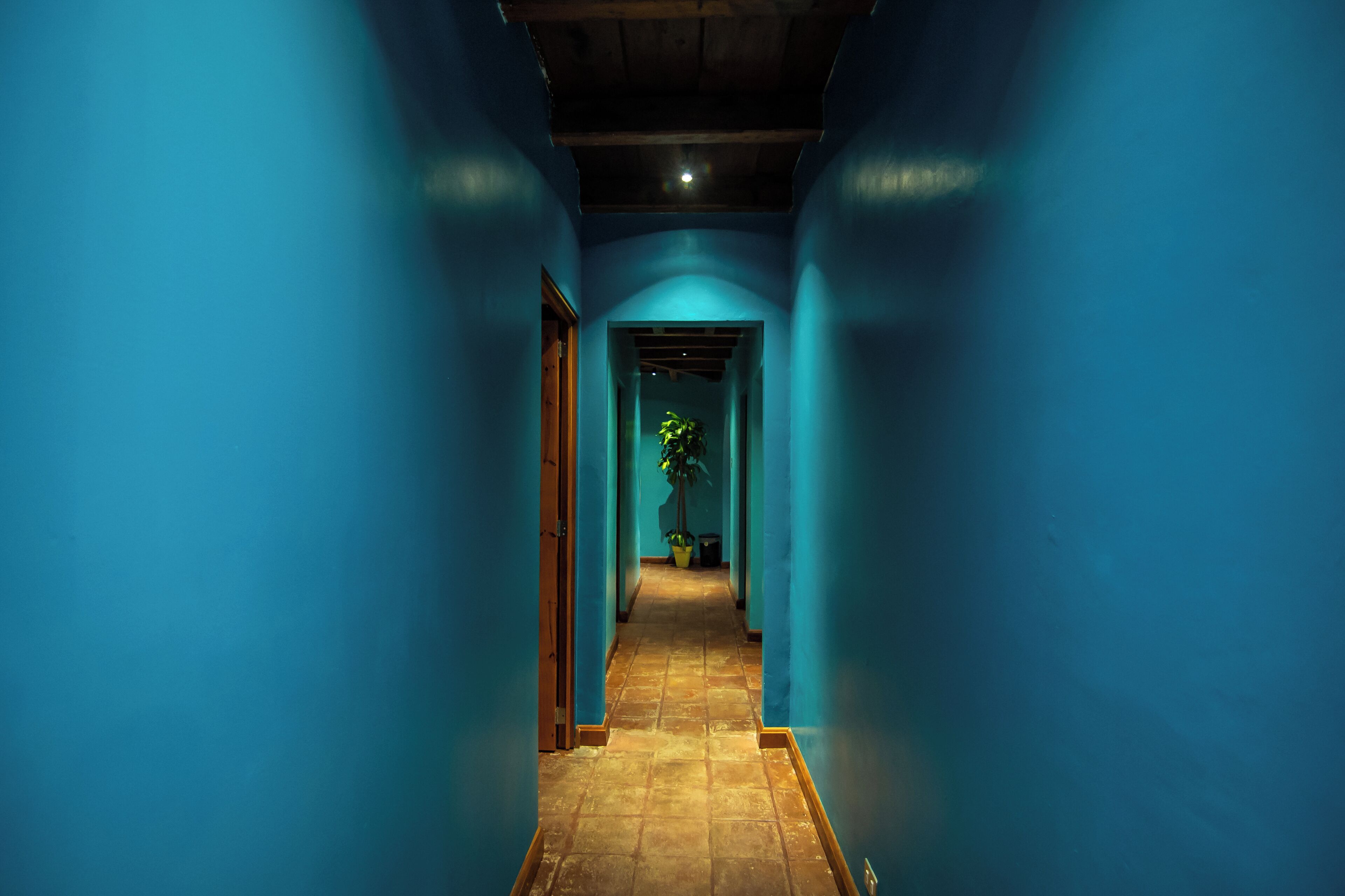 Foto - Yes Please! Hostel