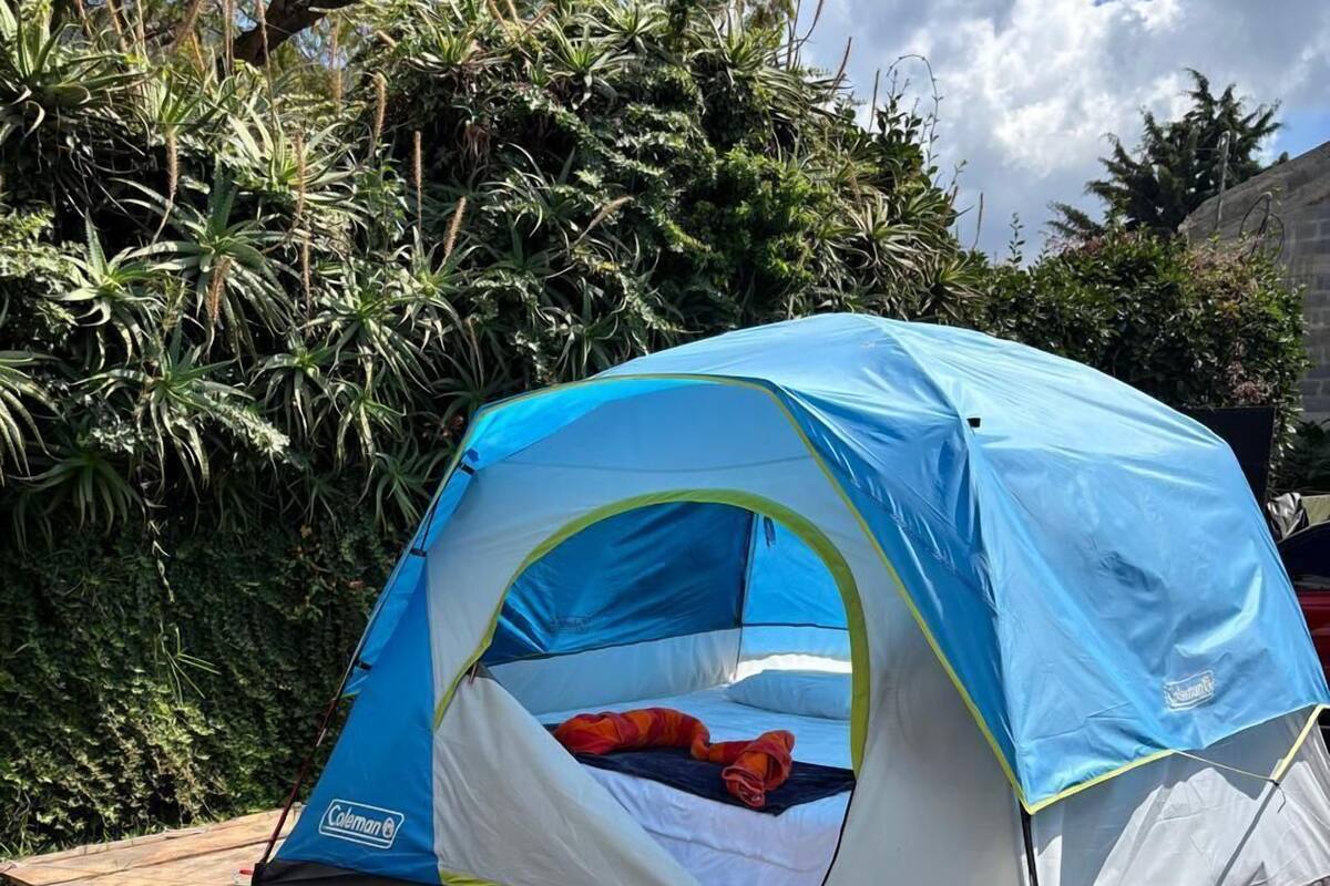 A blue and white Coleman tent set up on a wooden deck with a grassy area and dense foliage in the background.