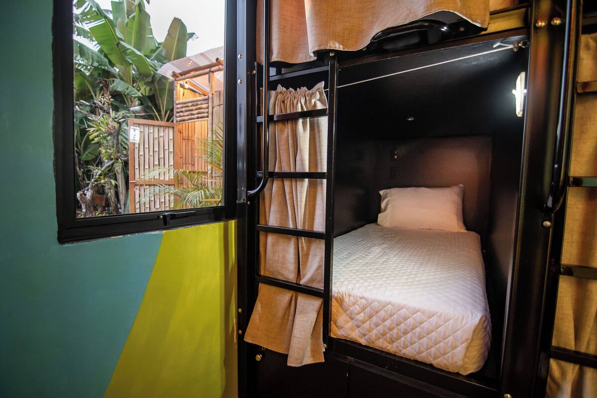 A bunk bed with a window view of a wooden fence and plants.