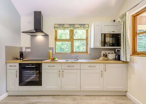 Fridge, oven, stovetop, toaster