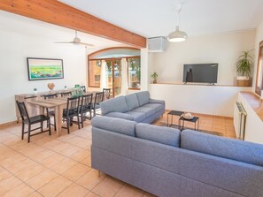 Televisión, chimenea