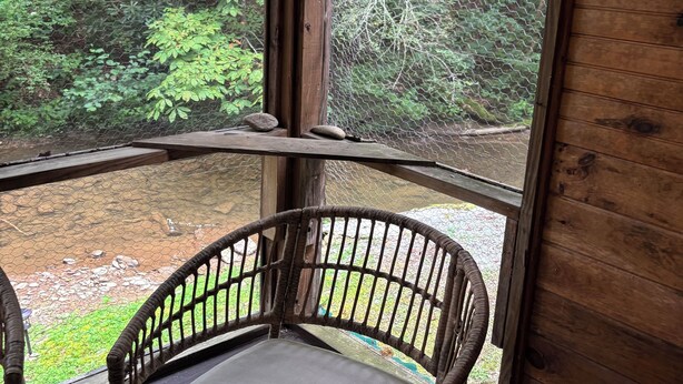 A wicker chair with a cushion in a room with a wooden floor, a window with a view of a forest, and a wooden wall.
