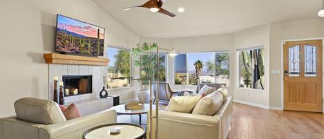 Smart TV, fireplace, books