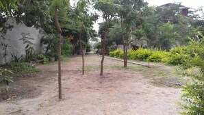 A dirt path surrounded by trees and greenery, leading to a building in the background.