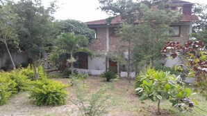A house with a stone facade, a tiled roof, and a garden with various plants and trees.