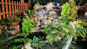 Een tuin in de schemering met een kleine waterval, omgeven door weelderige begroeiing en een houten omheining.