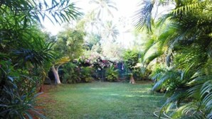 Un jardin luxuriant, où l’on trouve une grande variété de plantes tropicales, ainsi qu’une petite pelouse au centre.
