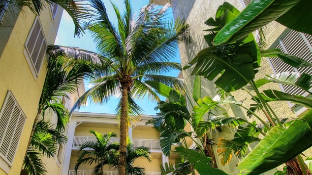 A courtyard with multiple-story buildings, palm trees, and balconies. - The Palm Tree Penthouse (Stuart)