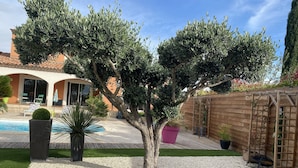 Een aangelegde achtertuin met een zwembad, een pergola en een houten omheining.
