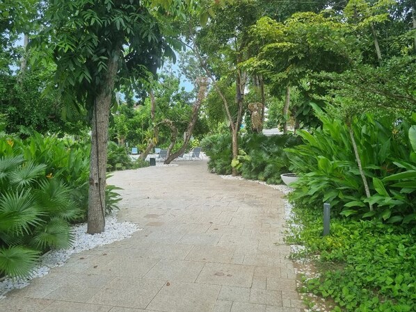 A paved pathway surrounded by lush greenery and trees. - Sea view brand new one bedroom apartment in 5 star Tambuli  Resort & spa (Lapu-Lapu City)