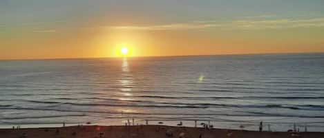 A beach with a sunset, people walking, and a paved area with benches.
