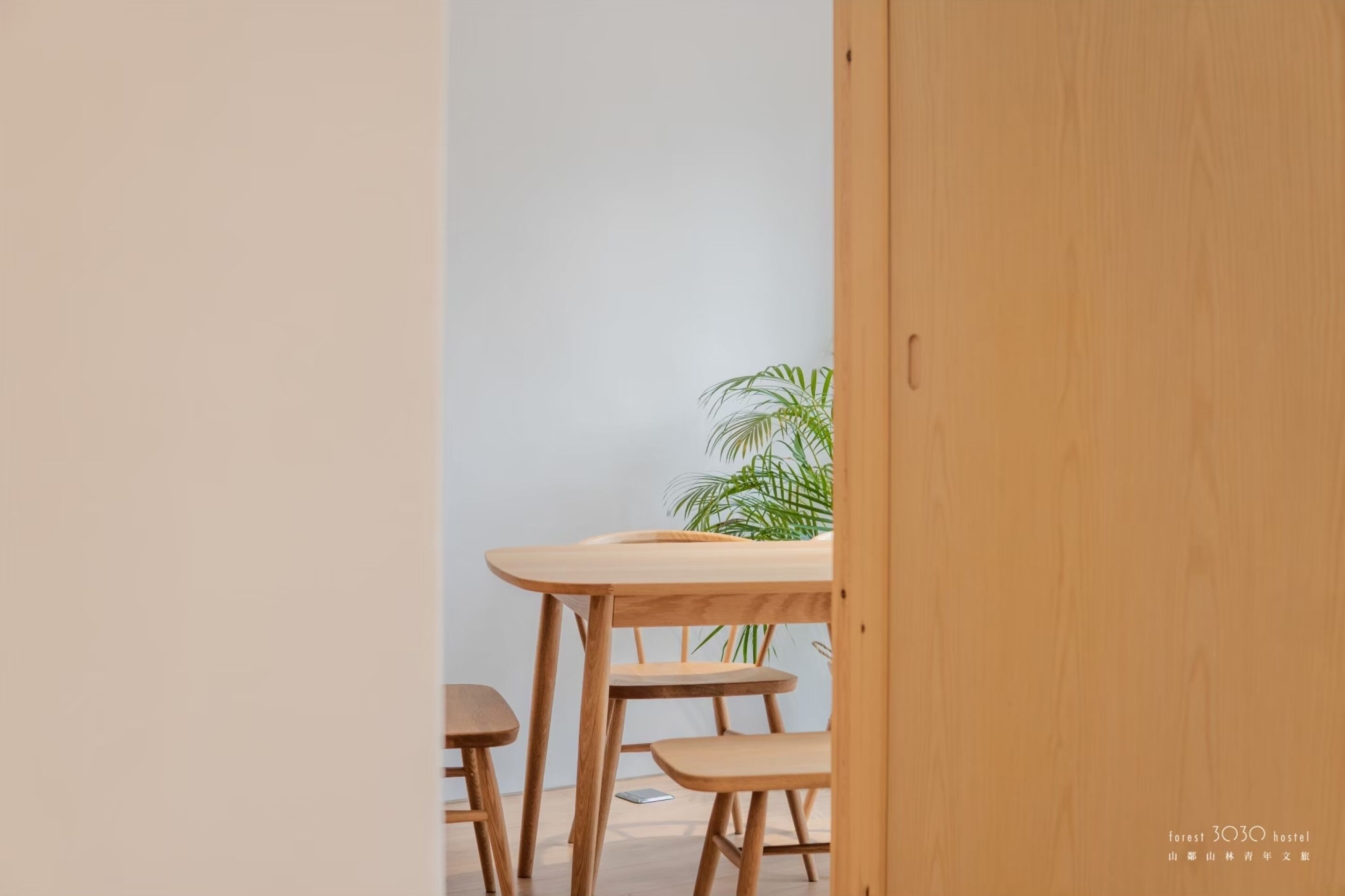Una mesa de madera con un banco, una planta en maceta y una puerta de madera.