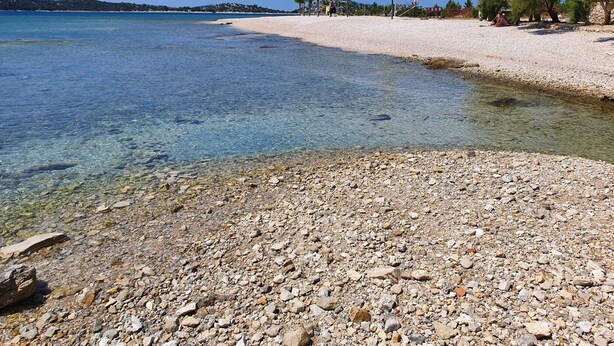 Una platja de petits guals amb aigua cristal·lina, arbres i una costa llunyana.