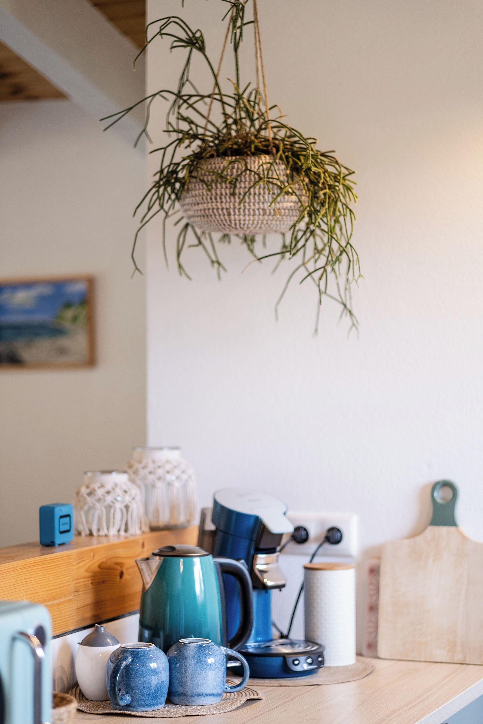 A kitchen counter with a hanging plant, a coffee maker, and various kitchen items.
