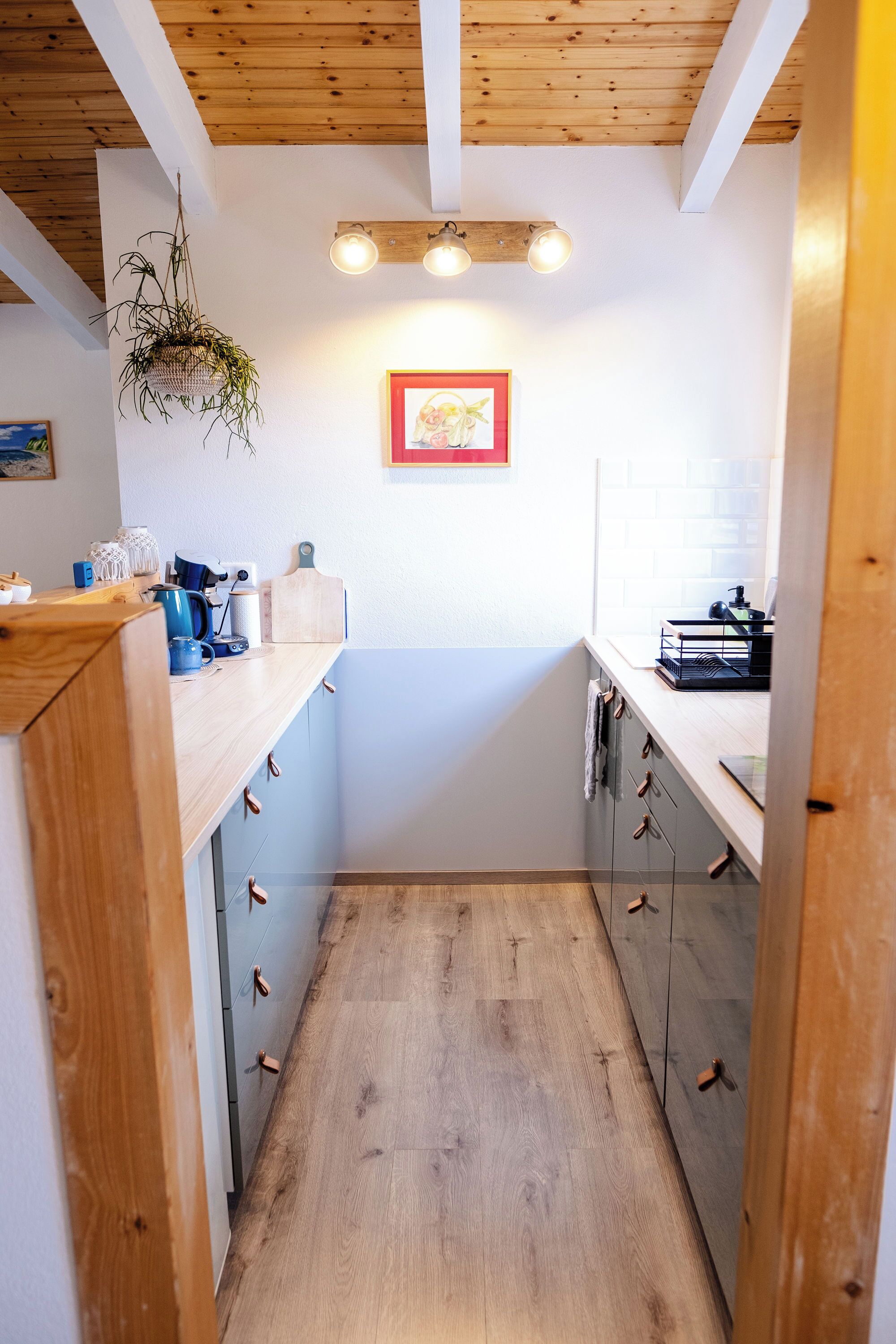 A narrow kitchen with wooden cabinets, a hanging plant, and a framed picture on the wall.