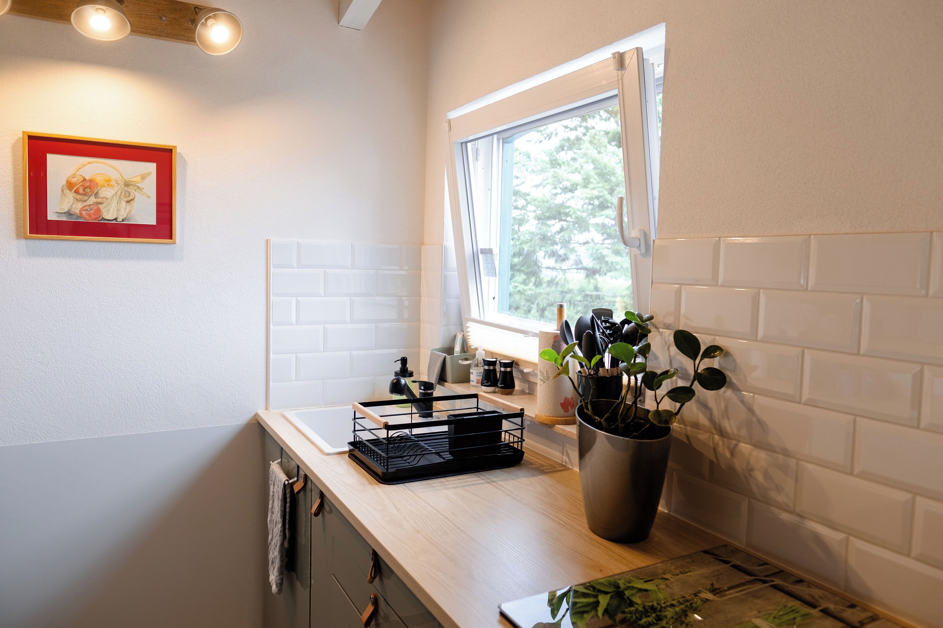 Una cocina con ventana, pileta, mostrador y una planta en maceta.